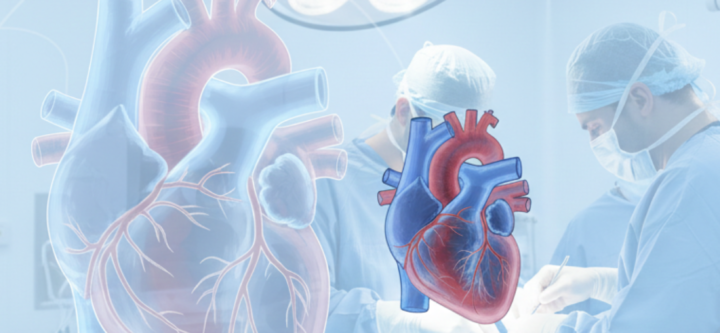 Cardiology